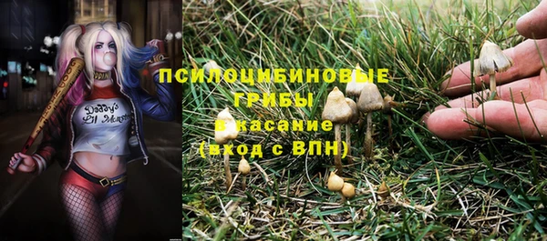 прущий лед Краснослободск